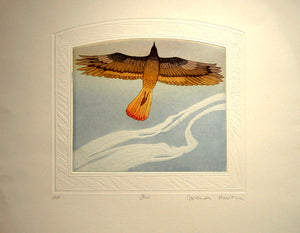 Bird - Air (Airbird)