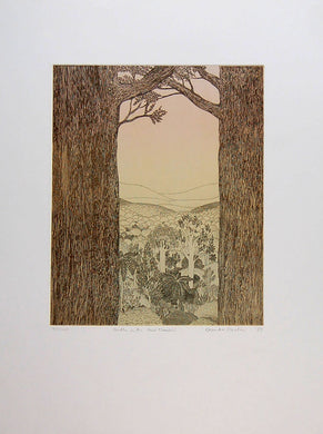 Bush with Two Kauris