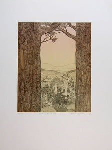Bush with Two Kauris