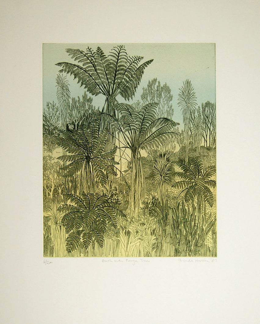 Bush with Punga Trees