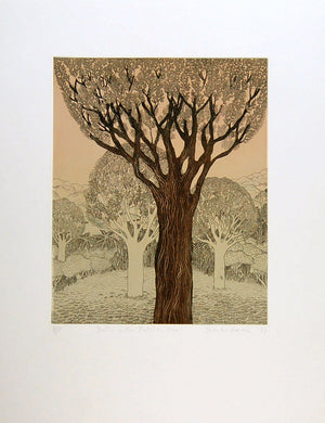 Bush with Puriri Tree