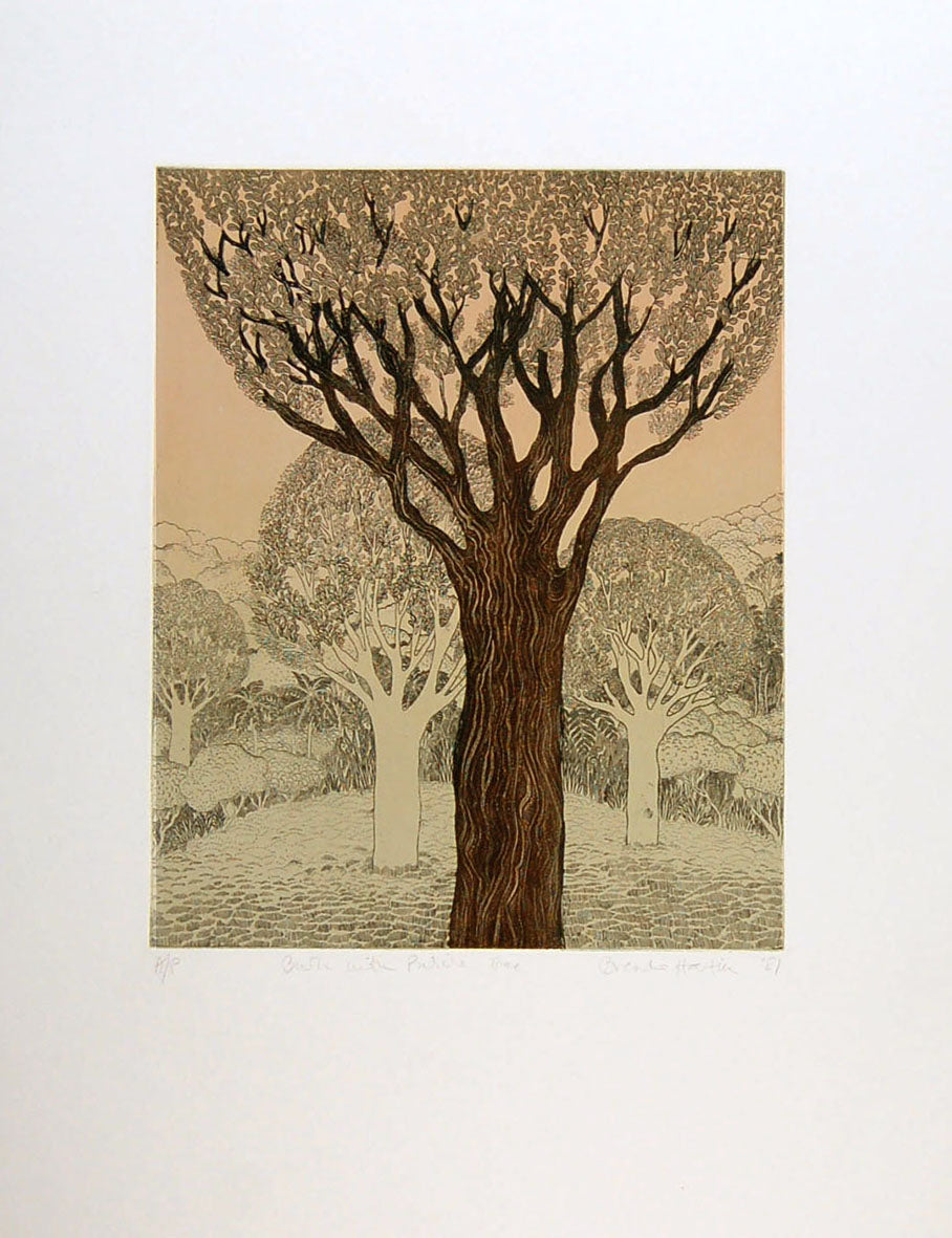 Bush with Puriri Tree