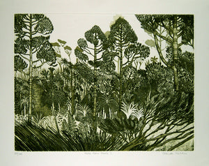 Kare Kare Kauri II (dark Green)