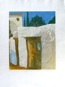 Shadows IV with Orange Tree