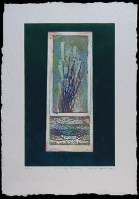 Silver Life Elements V