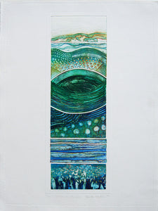 Variations X with Field
