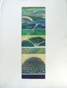 Variations X with Hill