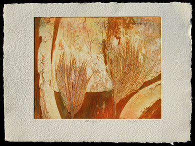 Warm Grass I