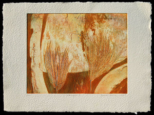 Warm Grass I