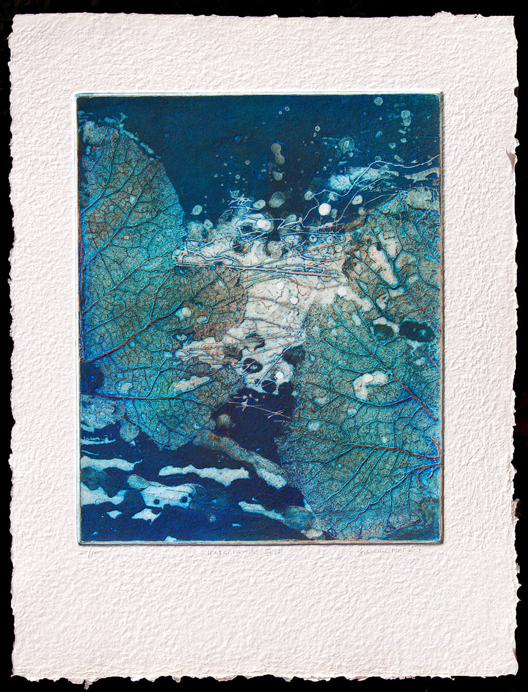 Waterlands III